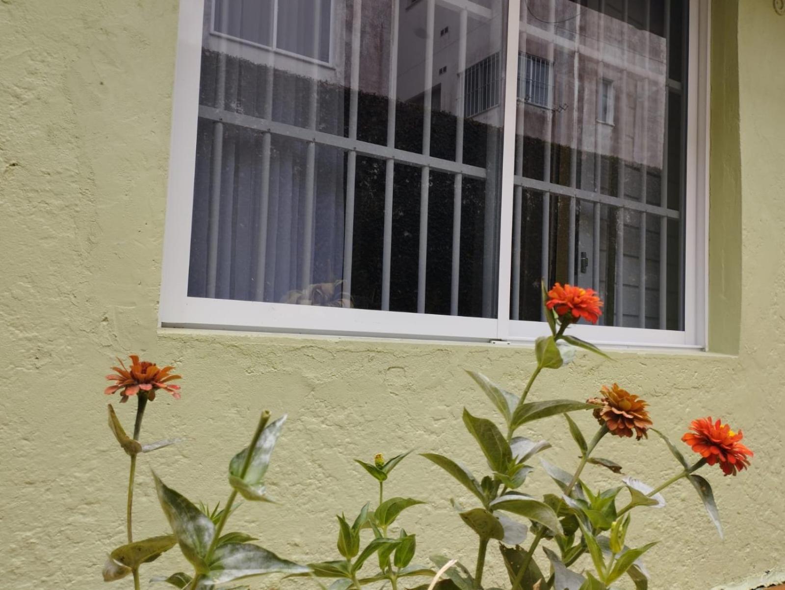 Charmoso Apto Com Clima De Casa Em Canasvieiras Florianópolis المظهر الخارجي الصورة